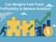 Consolidate To Soar: How Mergers Can Fast-Track Profitability In General Aviation Mergers and Acquisitions