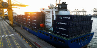 Exclusive: Dubai Ports Titan Steps Down After Epstein Email Sparks Global Outcry DP World Vessel